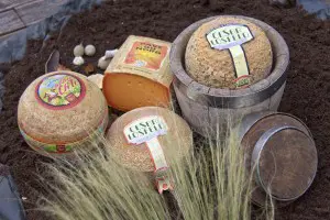 Mimolette Schaub Hannover